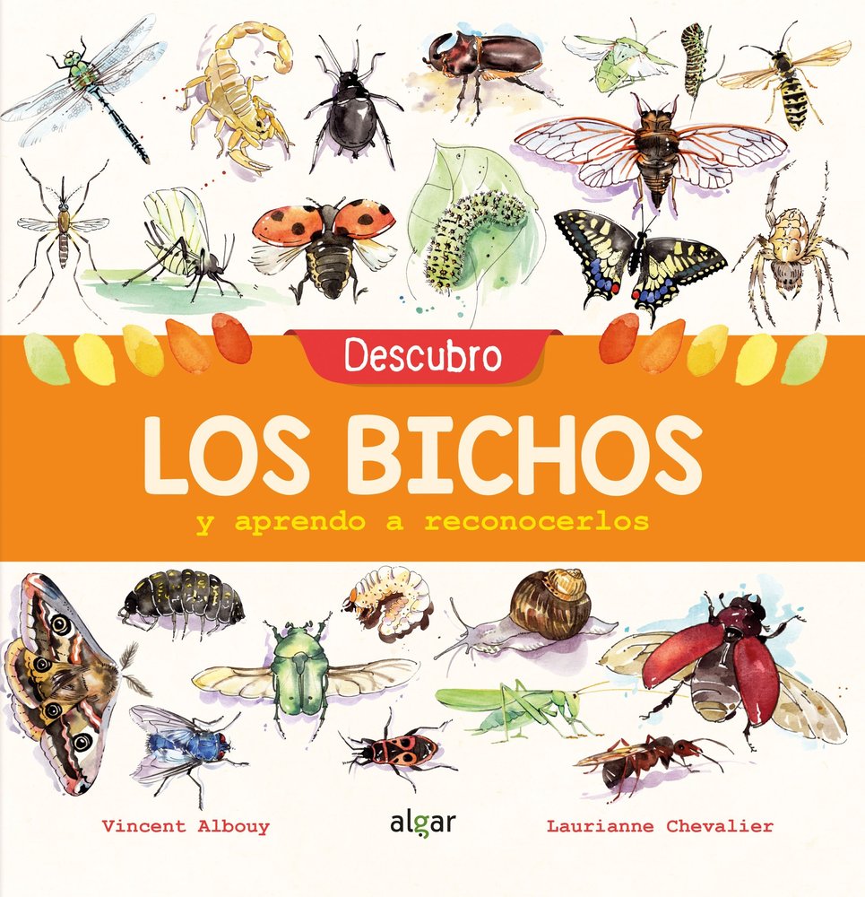 Descubro los bichos y aprendo a reconocerlos, de Albouy, Vincent | portada del libro