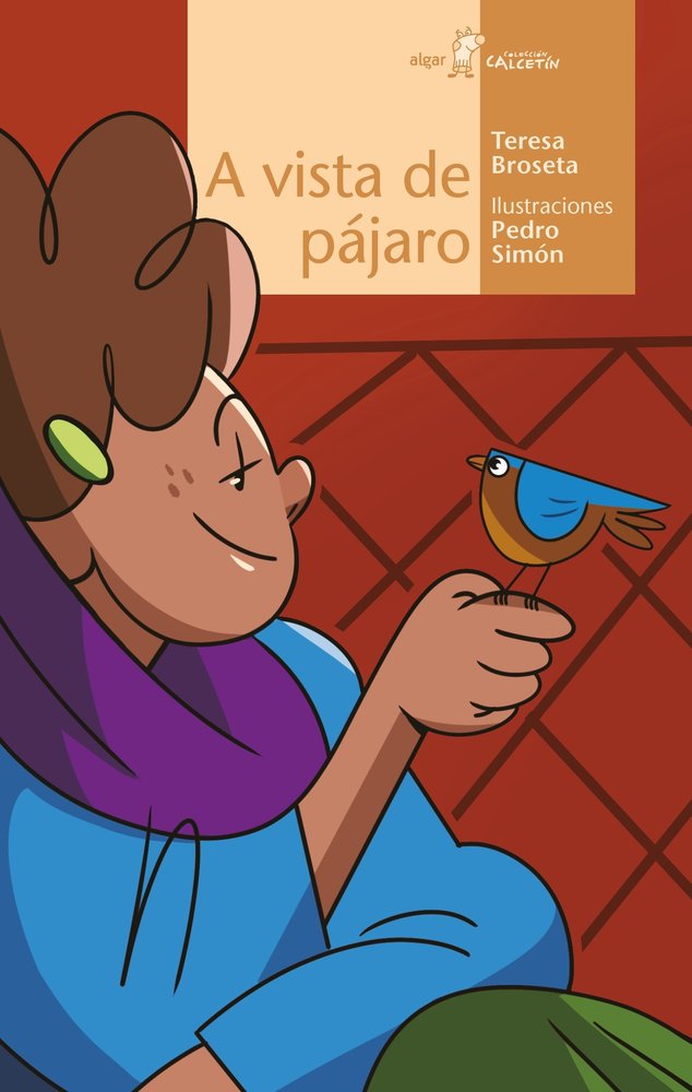 A VISTA DE PAJARO, de BROSETA, TERESA | portada del libro