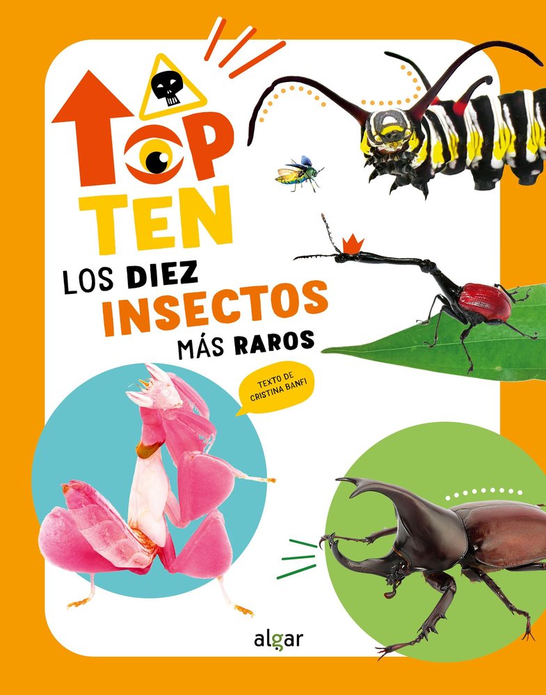 TOP TEN LOS DIEZ INSECTOS MAS RAROS, de CRISTINA BANFI | portada del libro