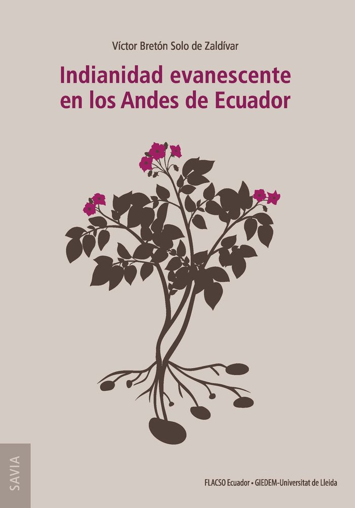 INDIANIDAD EVANESCENTE EN LOS ANDES DE ECUADOR, de BRETON SOLO DE ZALDIVAR, VICTOR | portada del libro