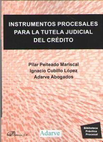 Instrumentos procesales para la tutela judicial del crédito, de Peiteado Mariscal, Pilar | portada del libro