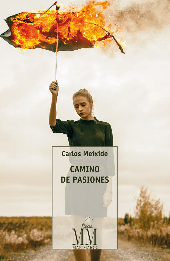 Camino de pasiones, de Meixide | portada del libro