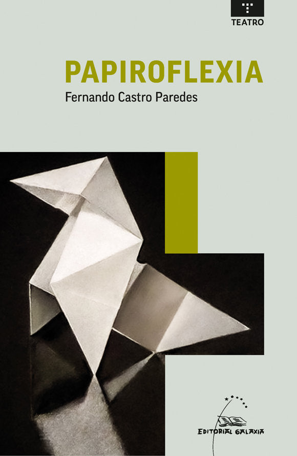 Papiroflexia, de CASTRO PAREDES, FERNANDO | portada del libro