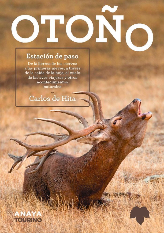 OTOÑO ESTACION DE PASO, de HITA MORENO, CARLOS DE | portada del libro