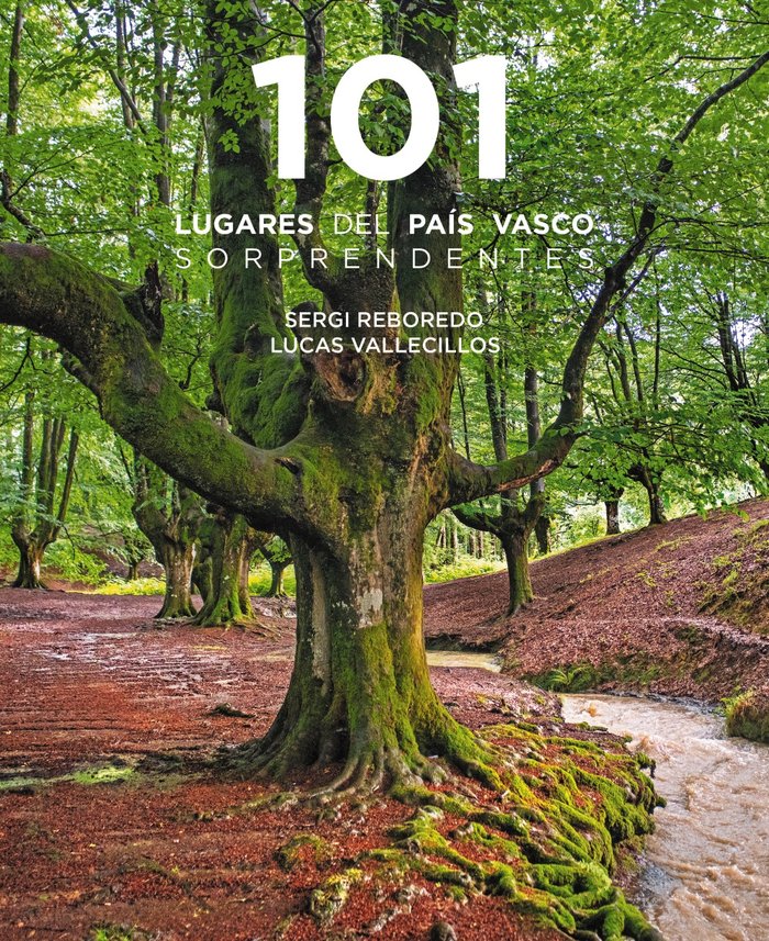 101 DESTINOS DEL PAIS VASCO SORPRENDENTES, de REBOREDO MANZANARES, SERGI | portada del libro