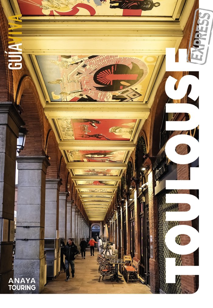 Toulouse, de GOMEZ, IÑAKI | portada del libro