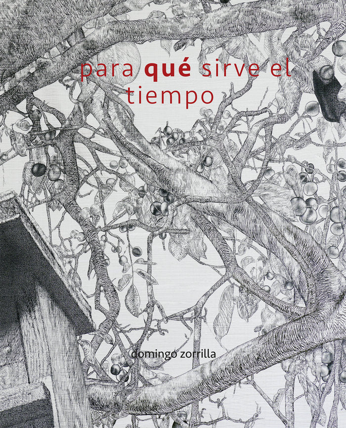 Para qué sirve el tiempo, de Zorrilla Lumbreras, Domingo | portada del libro