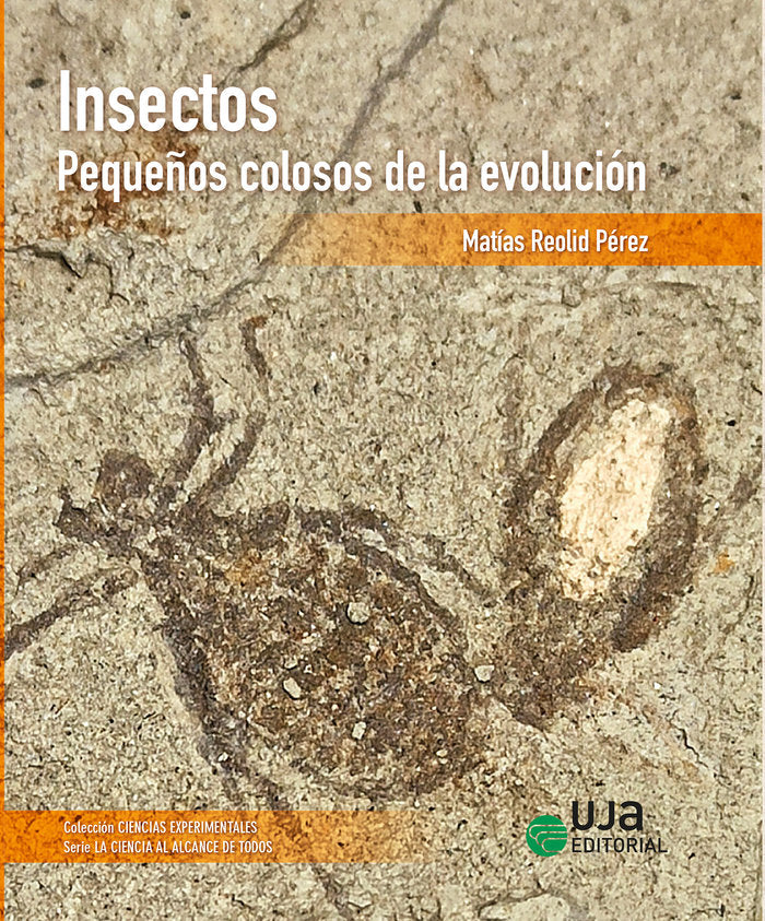 INSECTOS PEQUEÑOS COLOSOS DE LA EVOLUCION, de REOLID PEREZ, MATIAS | portada del libro