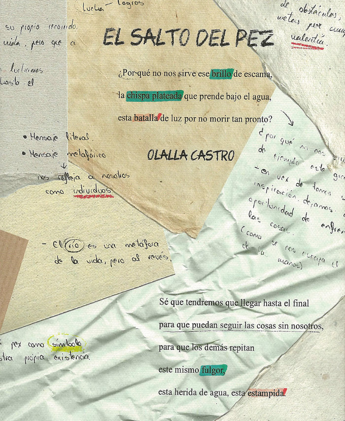 El salto del pez. Libro de Artista, de CASTRO HERNANDEZ, OLALLA | portada del libro