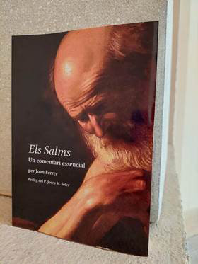 ELS SALMS. UN COMENTARI ESSENCIAL, de FERRER COSTA, JOAN | portada del libro