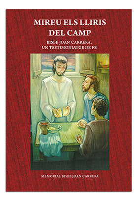 MIREU ELS LLIRIS DEL CAMP, de MEMORIAL BISBE JOAN CARRERA | portada del libro