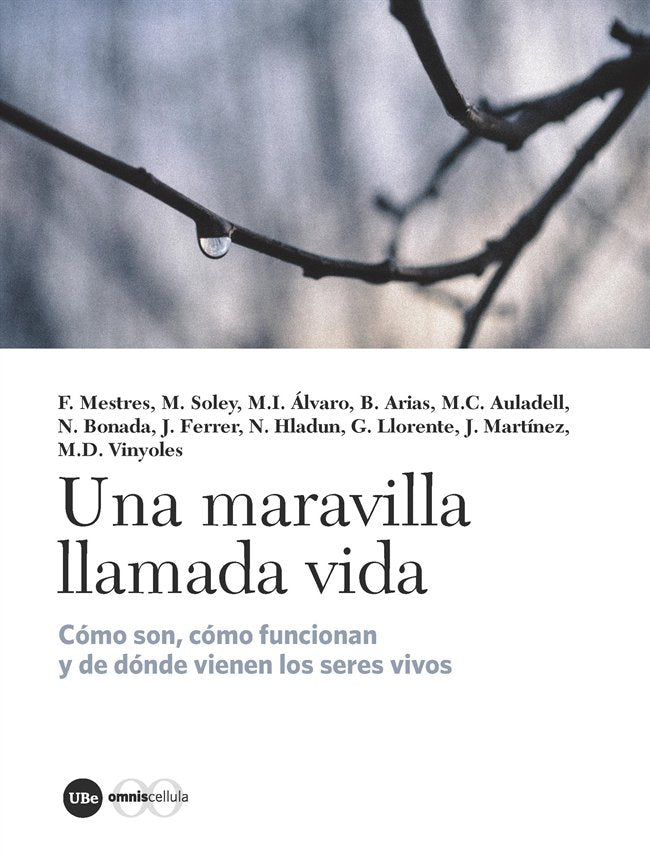Una maravilla llamada vida, de Varios autores | portada del libro