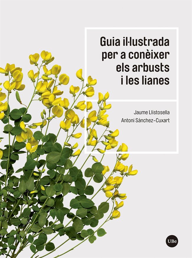 Guia il·lustrada per a conèixer els arbusts i les lianes, de Llistosella Vidal, Jaume | portada del libro