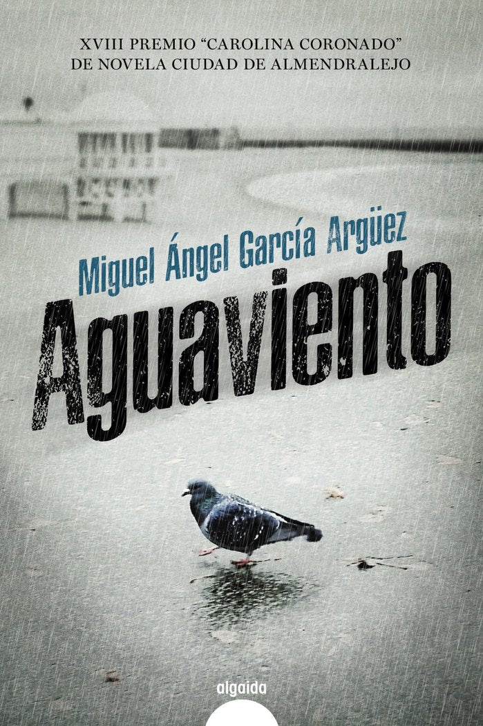 Aguaviento, de García Argüez, Miguel Ángel | portada del libro