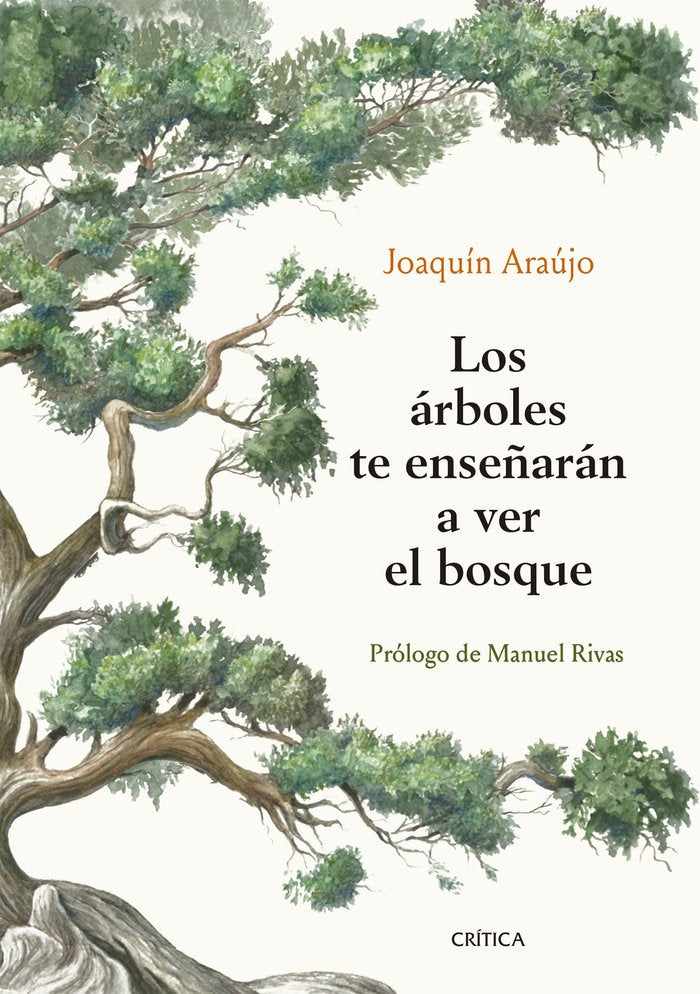 Los árboles te enseñarán a ver el bosque, de Araújo, Joaquín | portada del libro
