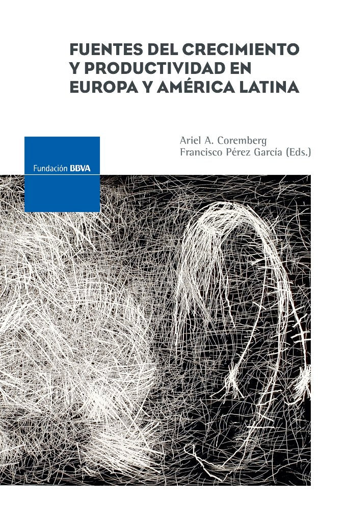 FUENTES DEL CRECIMIENTO Y PRODUCTIVIDAD EN EUROPA Y AMERICA LATINA, de COREMBERG, ARIEL ALBERTO | portada del libro