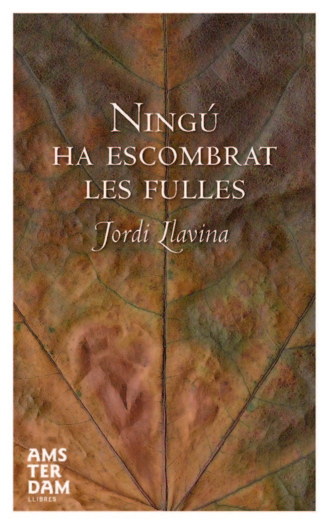 Ningú ha escombrat les fulles, de Llavina i Murgadas | portada del libro