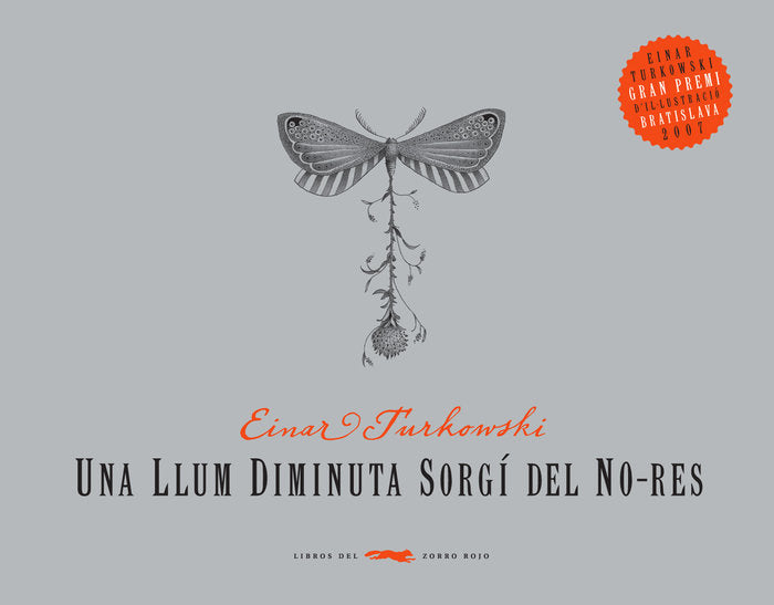 Una llum diminuta sorgí del no-res, de Turkowski, Einar | portada del libro