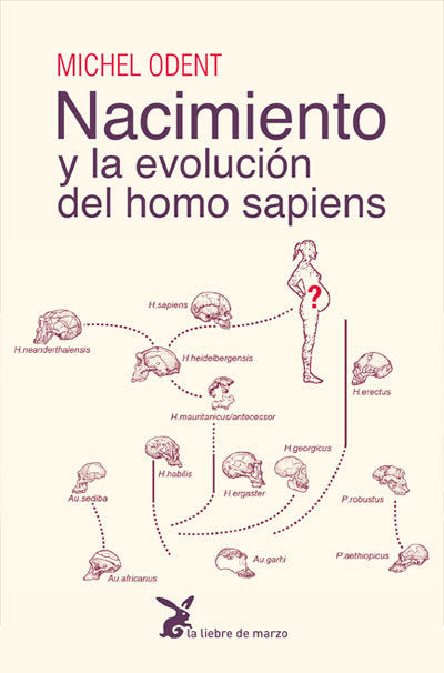 NACIMIENTO Y LA EVOLUCION DEL HOMO SAPIENS, de ODENT, MICHEL | portada del libro