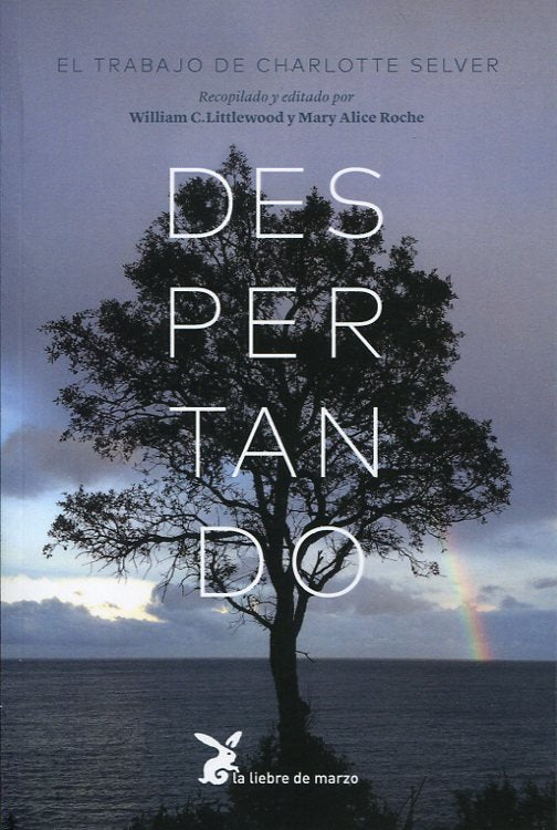 DESPERTANDO: EL TRABAJO DE CHARLOTTE SELVER, de SELVER, CHARLOTTE | portada del libro