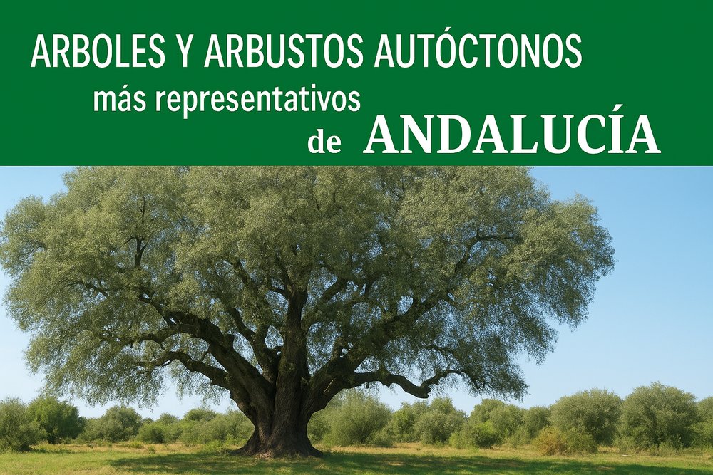 ÁRBOLES Y ARBUSTOS AUTÓCTONOS MÁS REPRESENTATIVOS DE ANDALUC, de Sánchez Sánchez-Cañete, Francisco Javier | portada del libro