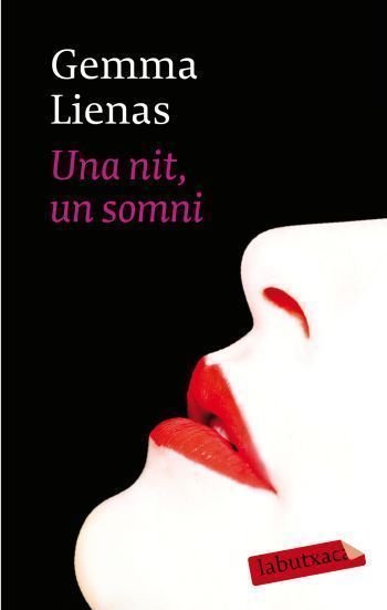 Una nit, un somni, de Lienas | portada del libro