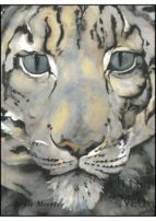 ULLS DE NEU, de Jackie Morris | portada del libro