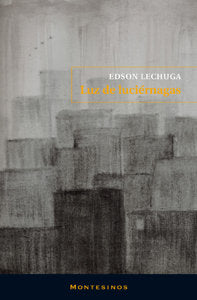 Luz de luciérnagas, de Lechuga, Edson | portada del libro