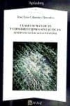 CLASES SEMANTICAS Y CONSTRUCCIONES SINTACTICAS: ALTERNANCIAS LOCALES EN ESPAÑOL, de José Luis Cifuentes Honrubia | portada de