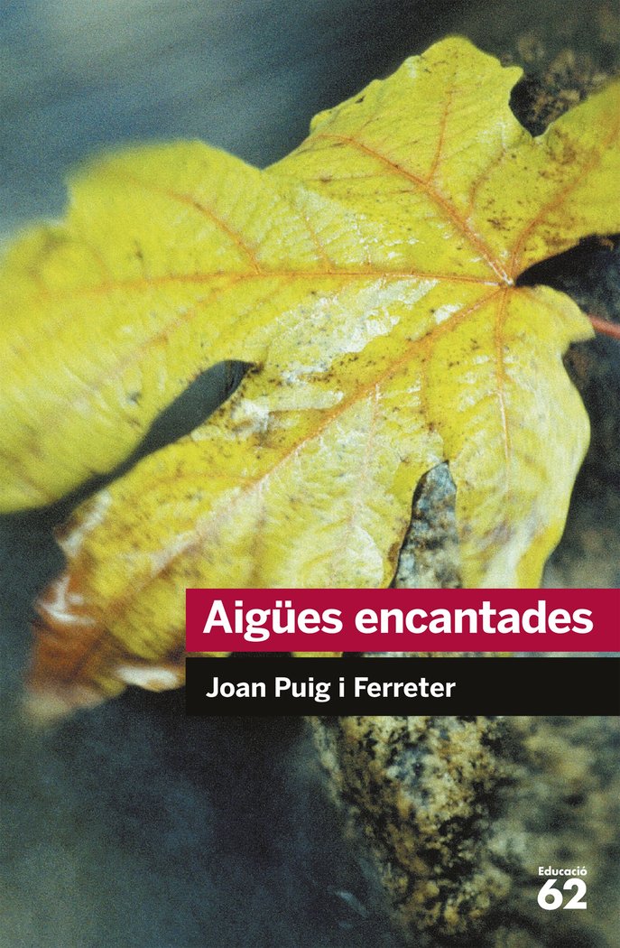 Aigües encantades, de Puig Ferreter, Joan | portada del libro