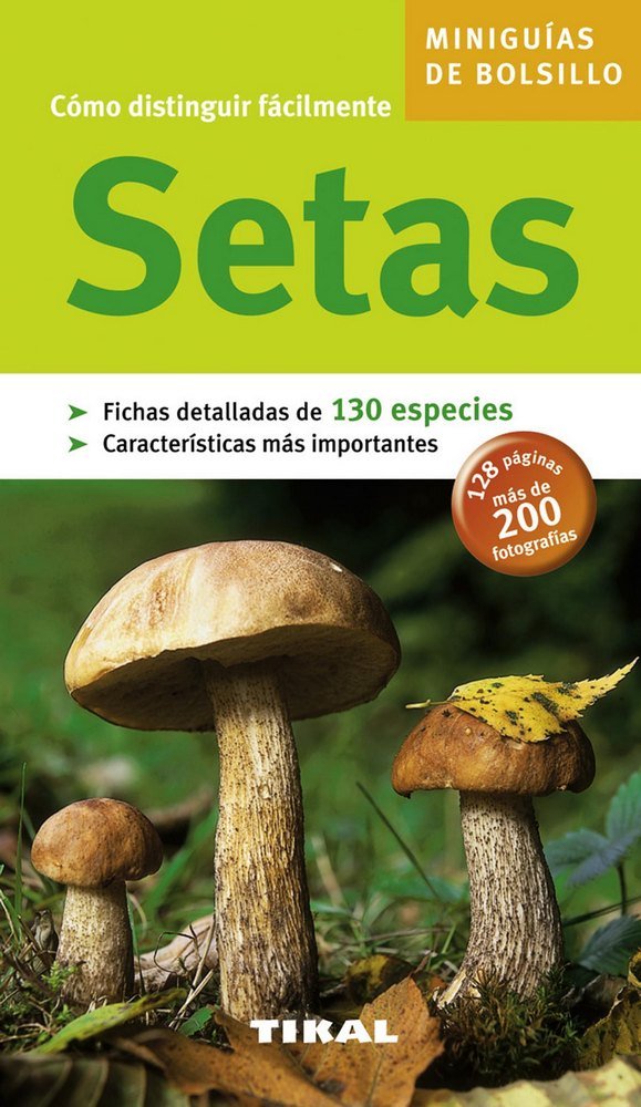 Setas, de Varios autores | portada del libro