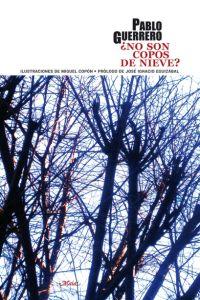 ¿No son copos de nieve?, de Guerrero, Pablo | portada del libro