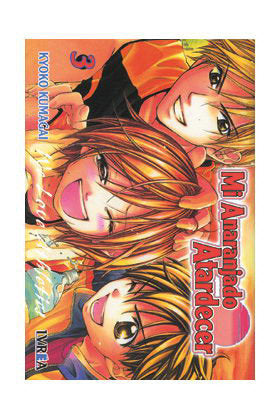 MI ANARANJADO ATARDECER Nº 3, de KYOKO KUMAGAI | portada del libro