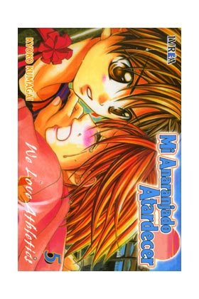 MI ANARANJADO ATARDECER 5 (ULTIMO NUMERO), de KUMAGAI, KYOKO | portada del libro