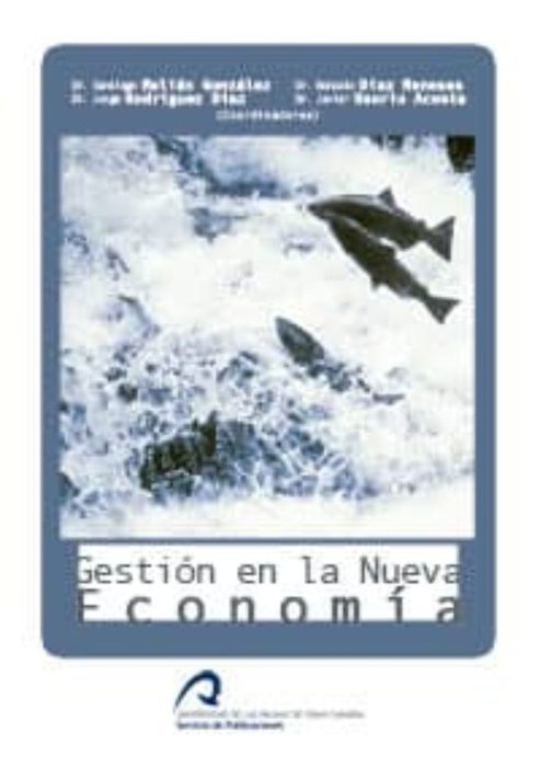 Gestión de la Nueva Economí¡a, de Melián González, Santiago | portada del libro
