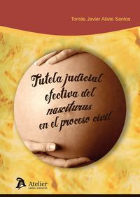 Tutela judicial efectiva del nasciturus en el proceso civil., de Aliste Santos, Tomas-Javier | portada del libro