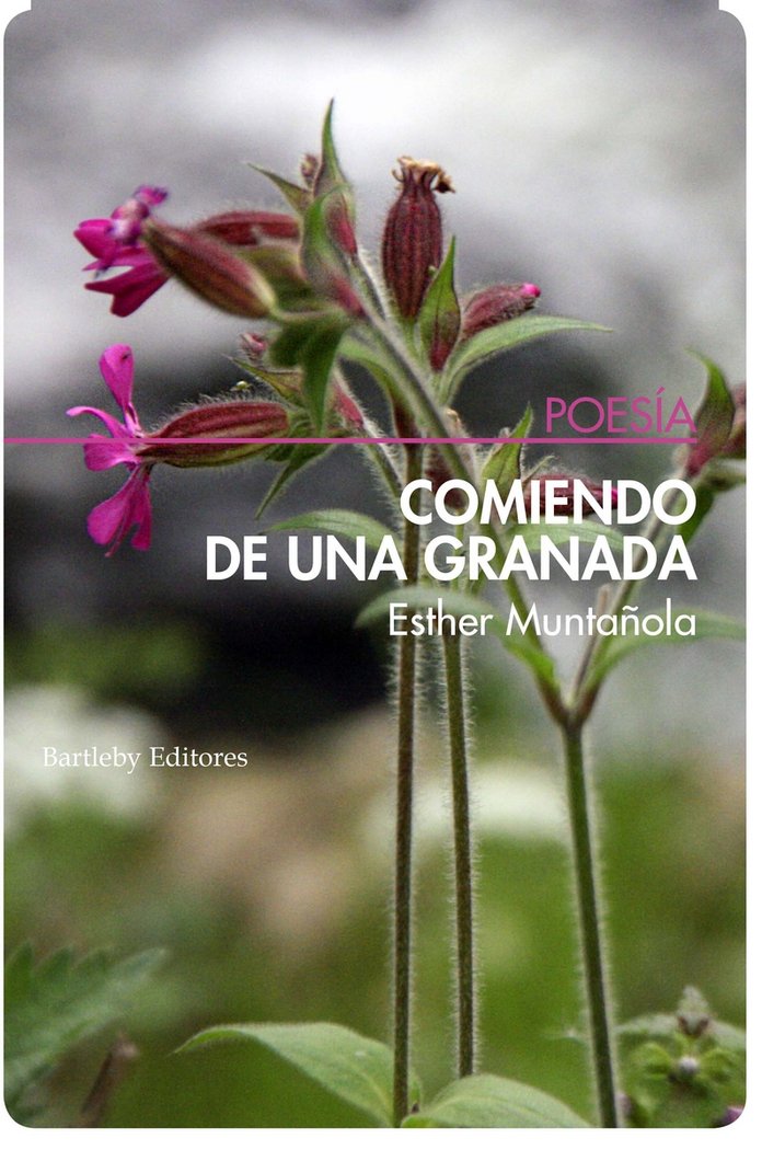 COMIENDO DE UNA GRANADA, de ESTHER MUNTAñOLA | portada del libro