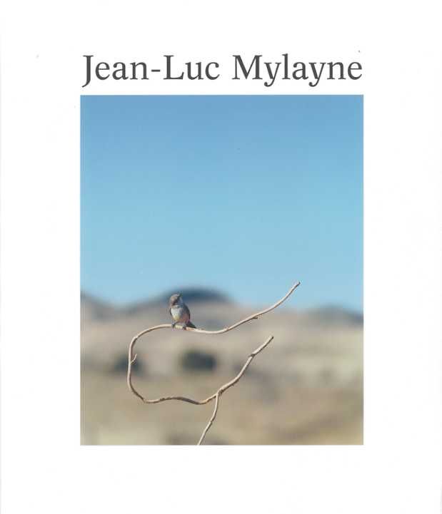 Trazos de un cielo en manos del tiempo, de Mylayne | portada del libro