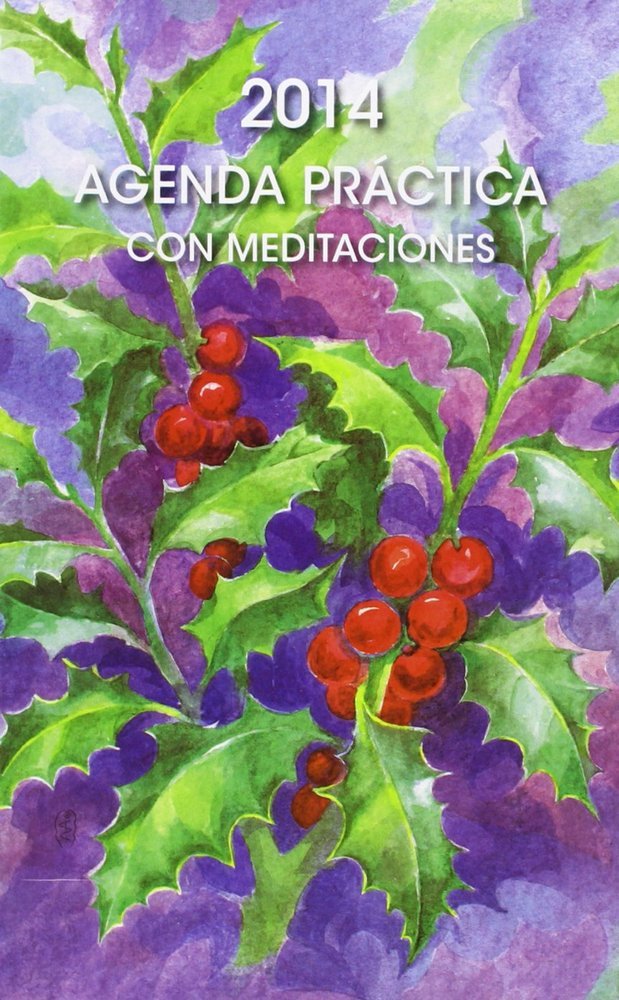 PRACTICA CON MEDITACIONES, de STEINER, RUDOLF | portada del libro