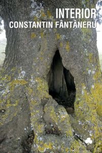 Interior, de Fântâneru, Constantin | portada del libro