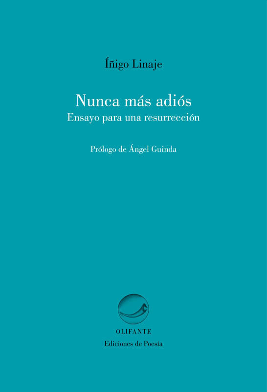 Nunca más adiós, de Linaje Balza de Vallejo Íñigo | portada del libro