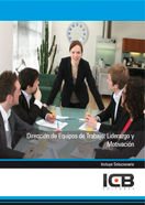 Dirección de Equipos de Trabajo: Liderazgo y Motivación, de Ramos Ramos, Paloma | portada del libro