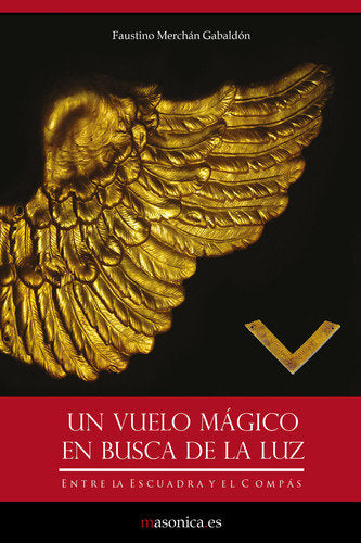 UN VUELO MAGICO EN BUSCA DE LA LUZ, de MERCHáN GABALDóN | portada del libro