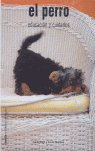 El perro, de FATJO RIOS | portada del libro