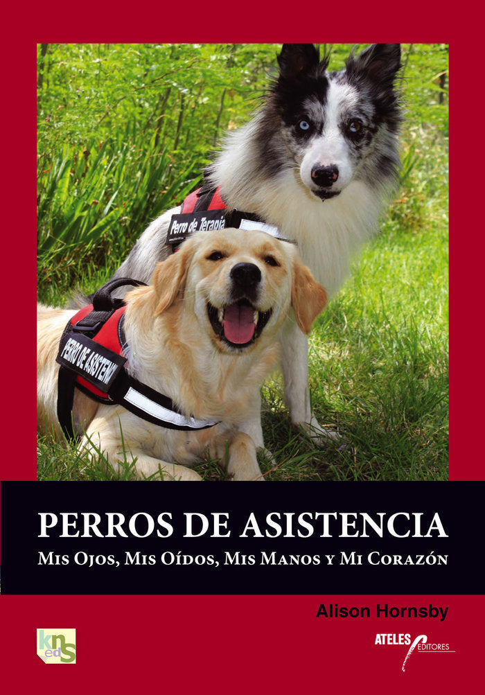Perros de asistencia: mis ojos, mis oídos, mis manos y mi corazón, de Alison, Hornsby | portada del libro