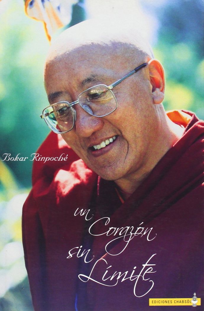 UN CORAZON SIN LIMITE, de BOKAR | portada del libro