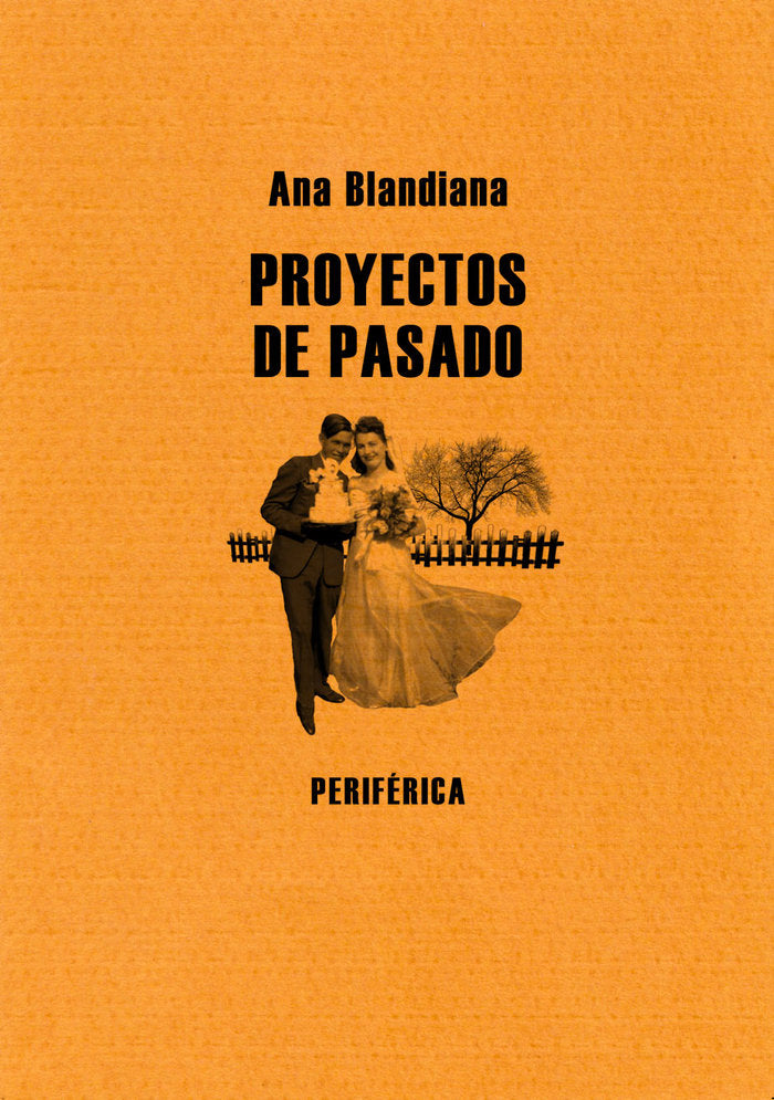 Proyectos de pasado, de Blandiana, Ana | portada del libro
