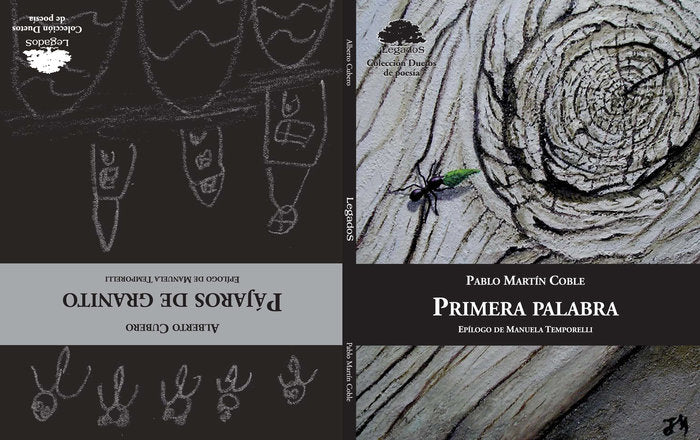 Pájaros de granito / Primera palabra, de CUBERO MELLADO, ALBERTO | portada del libro