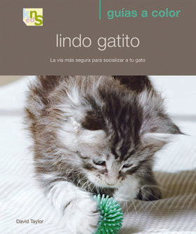 Lindo gatito, de Taylor, David | portada del libro
