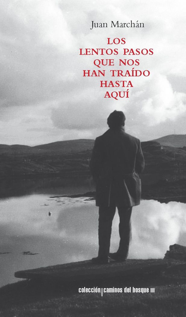 Los lentos pasos que nos han traído hasta aquí, de Marchán | portada del libro